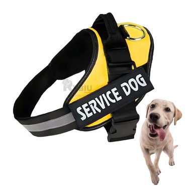 CORREA PERRO MA30964 RYBIU ACOLCHADA Y OPTIMA AMARILLO + GIFT STICKERS