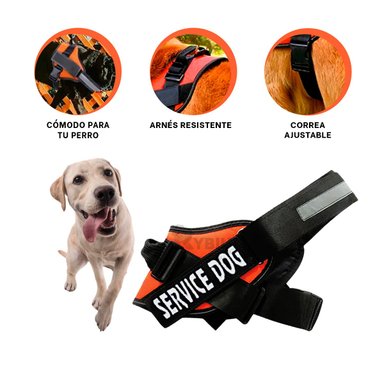 CHALECO PERROS RYBIU FACIL COLOCACION EN ANARANJADO + REGALO STICKERS