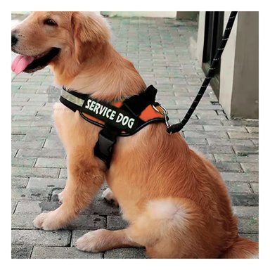 PECHERA PERROS RYBIU PERFECTA SALIR ARANJADO + BANDERITAS ADHESIVAS - 3