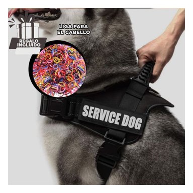 PECHERA PERROS RYBIU APTA EN NEGRO + LIGAS REGALO