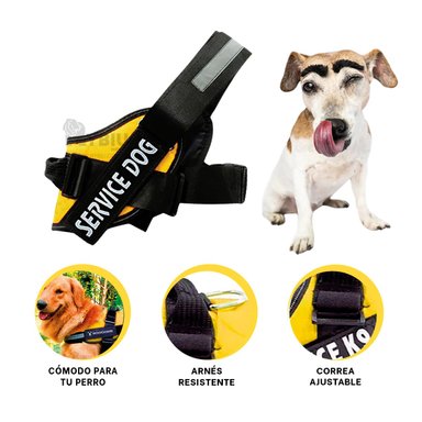 ARNES PERRO MA30964 RYBIU FACIL COLOCACION AMARILLO + PAPEL REGALO