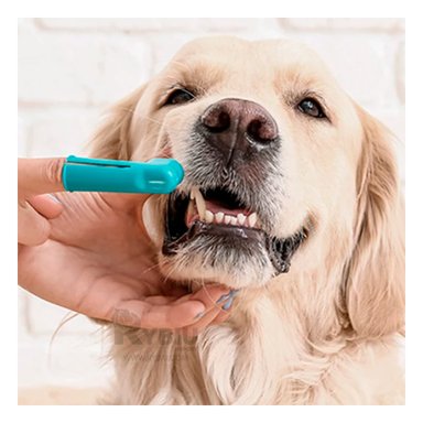 KIT ACCESORIOS PERROS GATOS RIPLEY MA29836 PLASTICO HIGUIENE MULTICOLOR + PAPEL REGALO