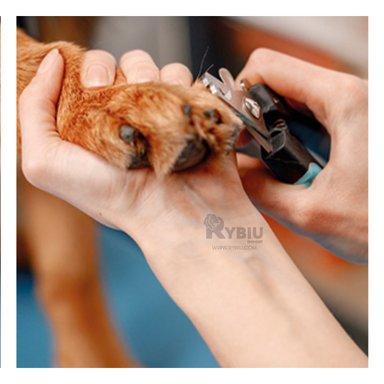 CORTA UÑA RYBIU PP26L INOXIDABLE CELESTE + PAPEL REGALO