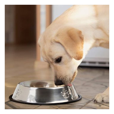 COMEDERO PERRO MA31273 RYBIU SIMPLE LAVAR TALLA XL 30 CM + POST-IT ADHESIVOS