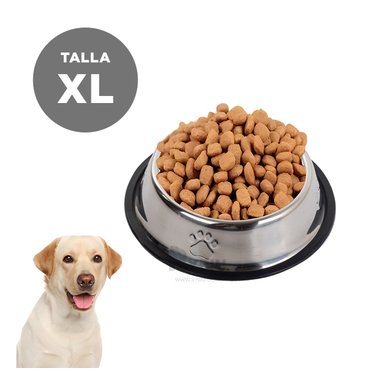 COMEDOR PERRO MA31273 RYBIU CANINO TALLA XL 30 CM + REGALO LIGAS PEINAR - 2