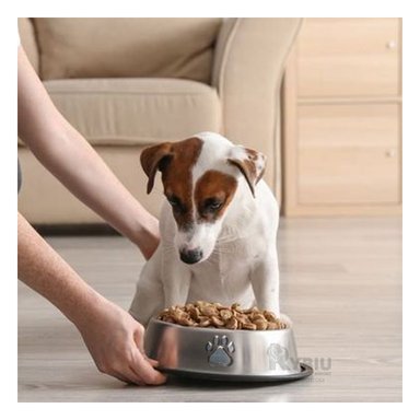 COMEDOR PERRO MA31272 RYBIU PET TALLA S + LIGAS REGALO