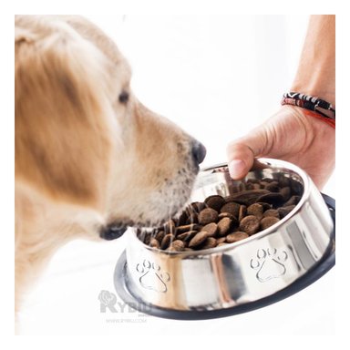 PLATO PERRO Y GATO MA31271 RYBIU ERGONOMICO Y SOLIDO TALLA M 22 CM + PAPEL REGALO