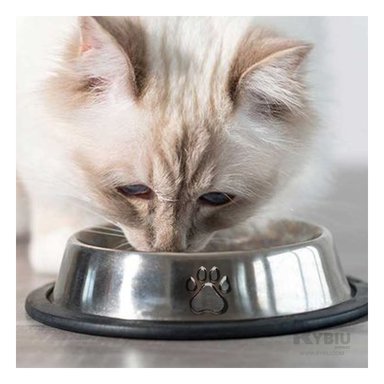 COMEDERO PERRO Y GATO MA31272 RYBIU LIGERO TALLA S 18 CM + BANDERITAS ADHESIVAS