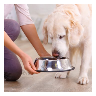 COMEDERO PERRO MA31273 RYBIU LIGERO TALLA XL 30 CM + BANDERITAS ADHESIVAS