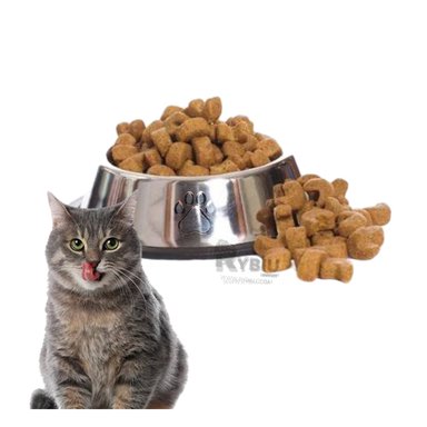 RECIPIENTE PERRO Y GATO MA31274 RYBIU SEGURO TALLA XS 16 CM + ENVOLTORIO REGALO