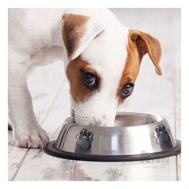 RECIPIENTE PERRO Y GATO MA31272 RYBIU SEGURO TALLA S 18 CM + ENVOLTORIO REGALO