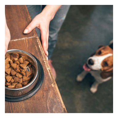 COMEDOR PERRO Y GATO MA31274 RYBIU CANINO TALLA XS 16 CM + REGALO LIGAS PEINAR