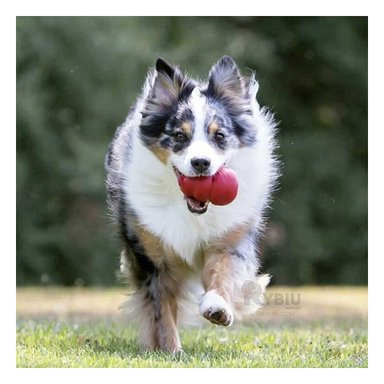 MASTICABLE MASCOTA RYBIU DINAMICO EN ROJO + GIFT MINIAGENDA