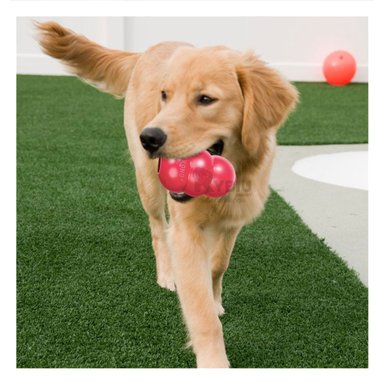 JUGUETE PERROS RYBIU ENTRETENIMIENTO EN ROJO CHICO + PAPEL REGALO