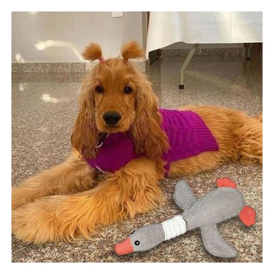 MUÑECO PERROS Y GATOS RYBIU FIGURA PATO EN PLOMO + ENVOLTORIO REGALO