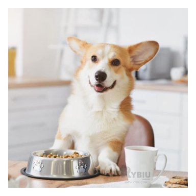 RECIPIENTE PERRO Y GATO MA31271 RYBIU RESISTENTE ANTE CAIDA M + REGALO AGENDITA