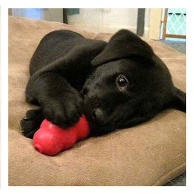 MASTICABLE PERROS RYBIU UTIL Y RESISTENTE EN ROJO CHICO + REGALO STICKERS