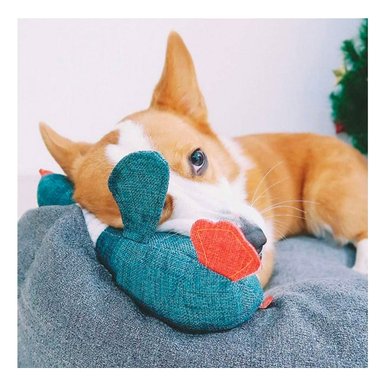 PELUCHE PERROS Y GATOS RYBIU SEGURO PATO VERDE + PAPEL REGALO