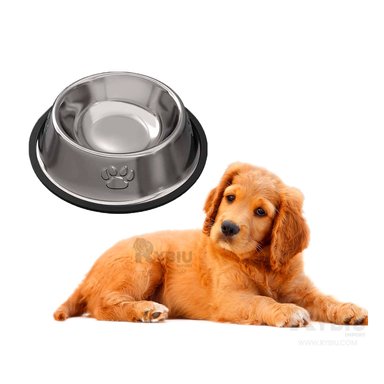 PLATO PERRO Y GATO MA31274 RYBIU ERGONOMICO Y SOLIDO XS 16 CM + PAPEL REGALO