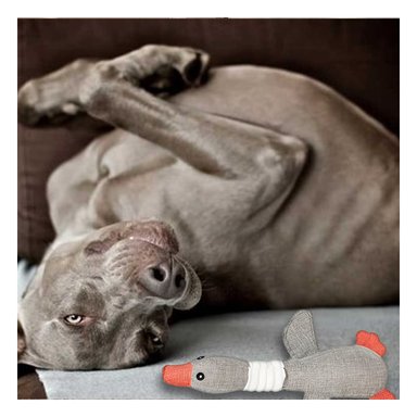 MUÑECO PERROS Y GATOS RYBIU JUGAR AL AIRE LIBRE PLOMO + REGALO STICKERS