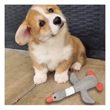 MUÑECO MASCOTA RYBIU MASTICABLE PLOMO + REGALO AGENDITA