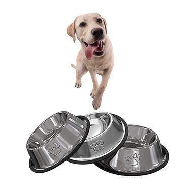 RECIPIENTE PERRO MA31276 RYBIU SEGURO TALLA XXXL 36 CM + ENVOLTORIO REGALO