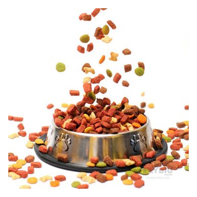 COMEDOR PERRO MA31275 RYBIU PET TALLA XXL 33 CM + LIGAS REGALO