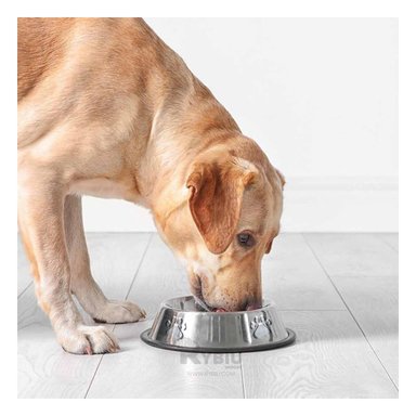 COMEDOR PERRO MA31275 RYBIU CANINO TALLA XXL 33 CM + REGALO LIGAS PEINAR