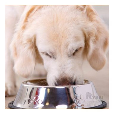 COMEDOR PERRO MA31276 RYBIU CANINO TALLA XXXL + REGALO LIGAS PEINAR