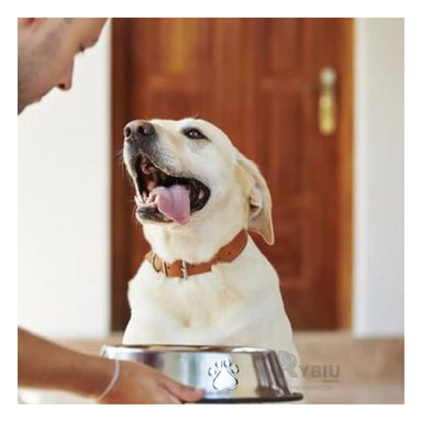 PLATO PERRO MA31276 RYBIU ERGONOMICO Y SOLIDO XXXL 36 CM + PAPEL REGALO - 2