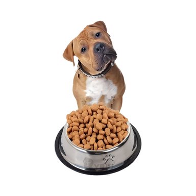 PLATO PERRO MA31276 RYBIU ERGONOMICO Y SOLIDO XXXL 36 CM + PAPEL REGALO - 3