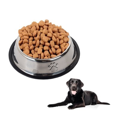 PLATO PERRO MA31276 RYBIU ERGONOMICO Y SOLIDO XXXL 36 CM + PAPEL REGALO - 4