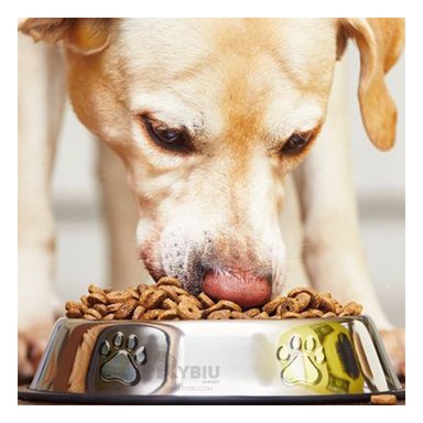 COMEDERO PERRO MA31275 RYBIU SIMPLE LAVAR TALLA XXL 33 CM + POST-IT ADHESIVOS