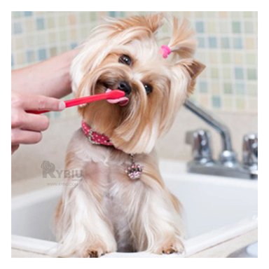 KIT CEPILLOS PERROS GATOS RYBIU MA29618 DENTAL MASCOTAS MULTICOLOR + PAPEL REGALO