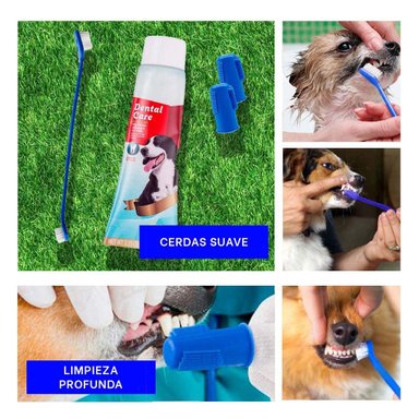 SET ACCESORIOS PERROS GATOS RYBIU MA29502 SALUD DENTAL MASCOTAS AZUL + LIGAS REGALO - 5