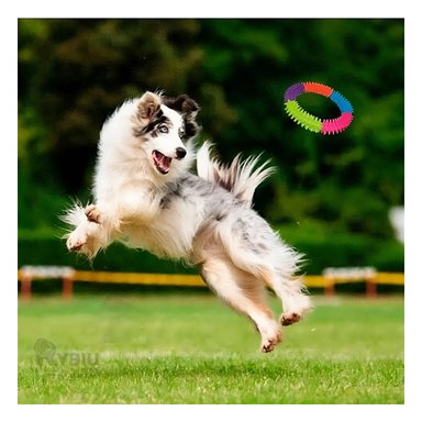 ARO DIDACTICO PERROS RYBIU PET 14.5 CM MULTICOLOR + PAPEL REGALO