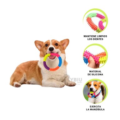 ANILLO CANES RYBIU SALUDABLE 14.5 CM MULTICOLOR + AGENDITA