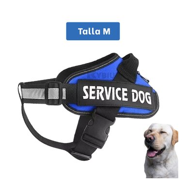 PECHERA PERROS RYBIU MULTIFUNCIONAL TALLA M AZUL + ENVOLTORIO REGALO - 5