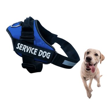 PECHERA PERROS RYBIU PERFECTA AZUL + GIFT MINIAGENDA - 4