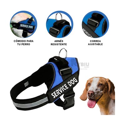 PECHERA PERROS RYBIU OPTIMA Y FUNCIONAL AZUL + REGALO STICKERS