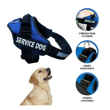 PECHERA PERROS RYBIU OPTIMA Y FUNCIONAL AZUL + REGALO STICKERS - 2