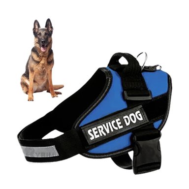 PECHERA PERROS RYBIU OPTIMA Y FUNCIONAL AZUL + REGALO STICKERS - 4