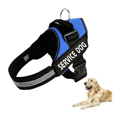 PECHERA PERROS RYBIU CON DISEÑO MODERNO AZUL + REGALO AGENDITA