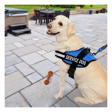 PECHERA PERROS RYBIU CON DISEÑO MODERNO AZUL + REGALO AGENDITA - 3