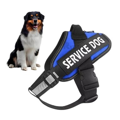 CORREA PERROS RYBIU EXCURSION AZUL + BANDERITAS ADHESIVAS