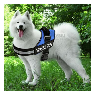 PECHERA PERROS RYBIU PERFECTA PASEOS AZUL + GIFT STICKERS - 3