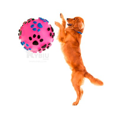 JUGUETE PERROS RYBIU REDONDO EN ROSADO TALLA L + BANDERITAS ADHESIVAS