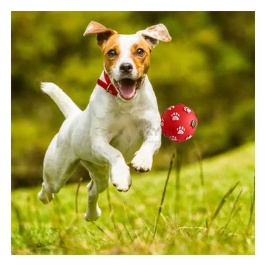 PELOTA PERROS RYBIU ENGRANADA CANINA EN TONALIDAD ROJO + PAPEL REGALO