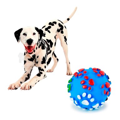 JUGUETE PERROS RYBIU ESFERICO CELESTE TALLA L + POST-IT ADHESIVOS