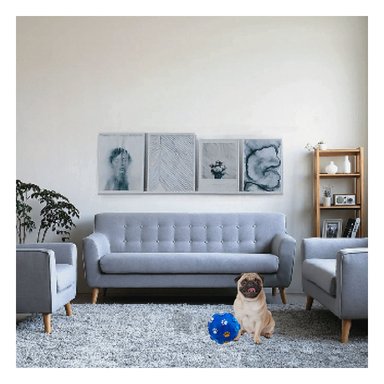 JUGUETE PERROS RYBIU FACIL USO EN AZUL Y EN L + REGALO LIGAS PEINAR - 2